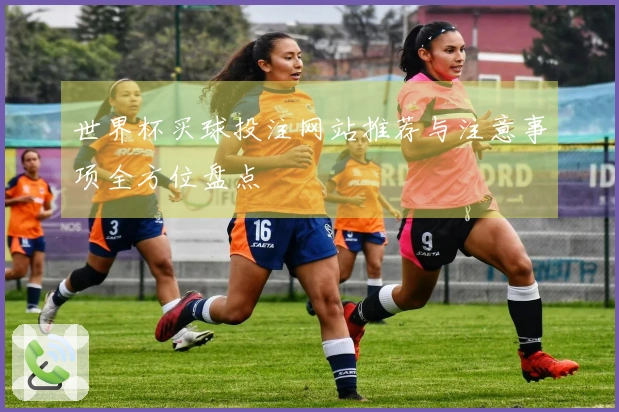 世界杯买球投注网站推荐与注意事项全方位盘点