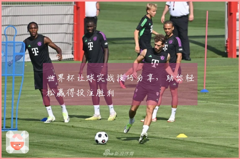 世界杯让球实战技巧分享，助你轻松赢得投注胜利
