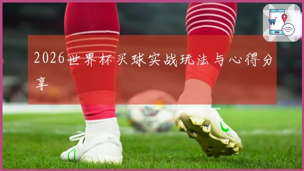 2026世界杯买球实战玩法与心得分享