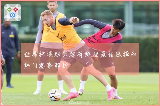 世界杯滚球买球有哪些最佳选择和热门赛事解析