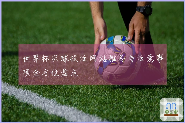 世界杯买球投注网站推荐与注意事项全方位盘点