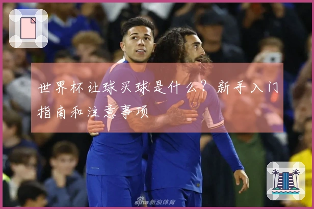 世界杯让球买球是什么？新手入门指南和注意事项