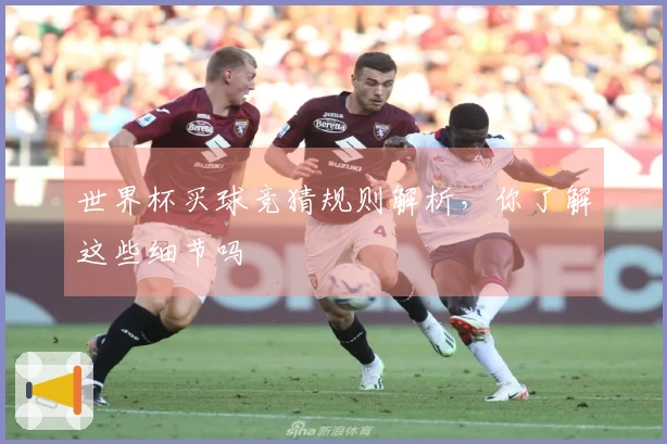 世界杯买球竞猜规则解析，你了解这些细节吗