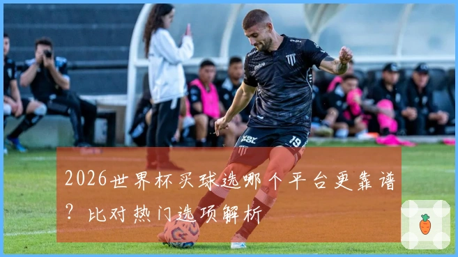 2026世界杯买球选哪个平台更靠谱？比对热门选项解析