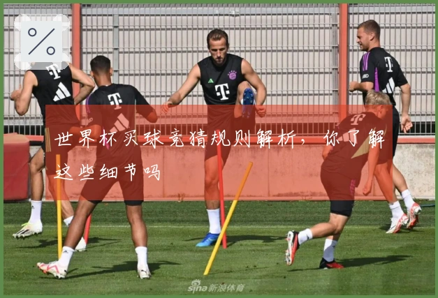 世界杯买球竞猜规则解析，你了解这些细节吗