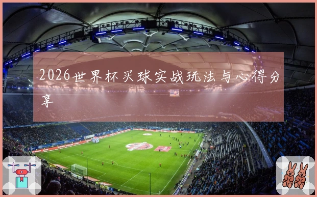 2026世界杯买球实战玩法与心得分享
