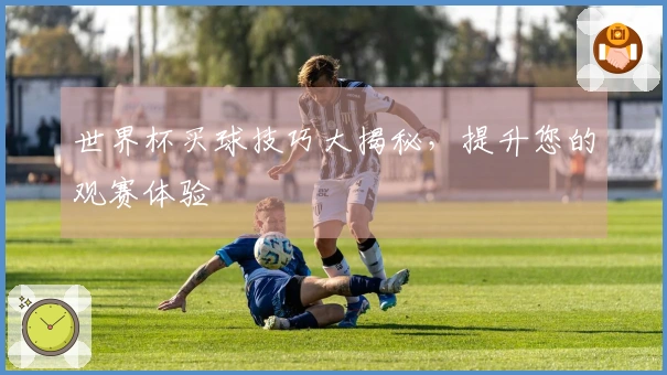 世界杯买球技巧大揭秘，提升您的观赛体验