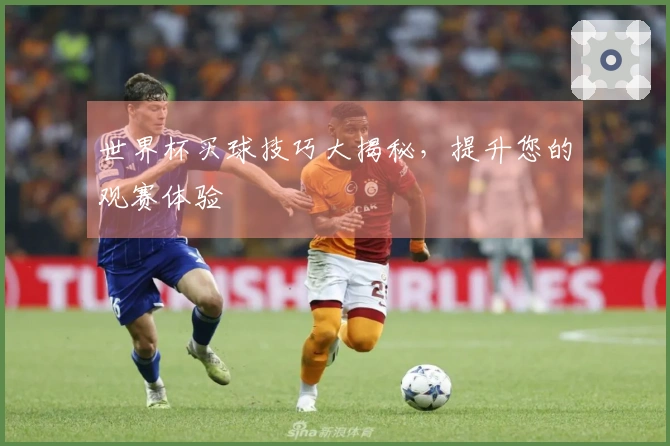 世界杯买球技巧大揭秘，提升您的观赛体验